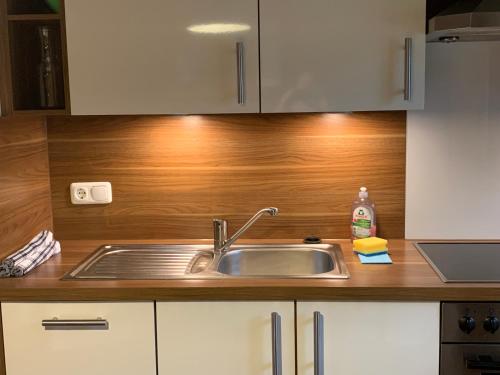 a kitchen with a sink and a wooden wall at Einfach wohlfühlen, inklusive aktivCard Bayerischer Wald in Arrach