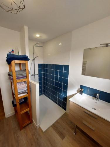 a bathroom with a sink and a shower and a mirror at Maison plein centre COULON MARAIS POITEVIN in Coulon