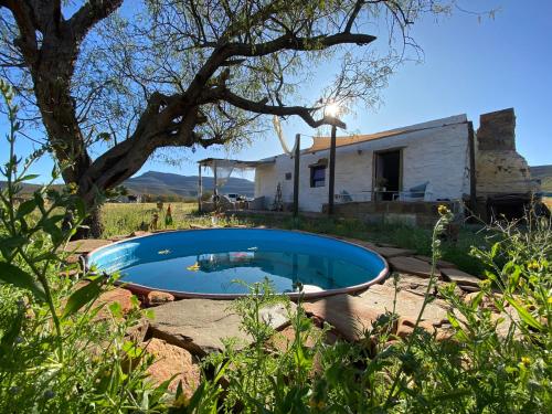 a small swimming pool in front of a house at Mietjiesfontein in Clanwilliam