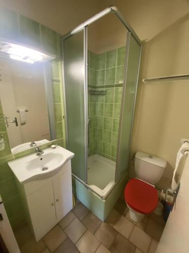 une salle de bain avec une douche, des toilettes et un lavabo dans l'établissement Appt T3 magnifique vue mer, à Saint Pierre La Mer