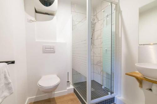une salle de bain avec une douche, des toilettes et un lavabo dans l'établissement Le Little Blue : au coeur du centre historique, à Dijon