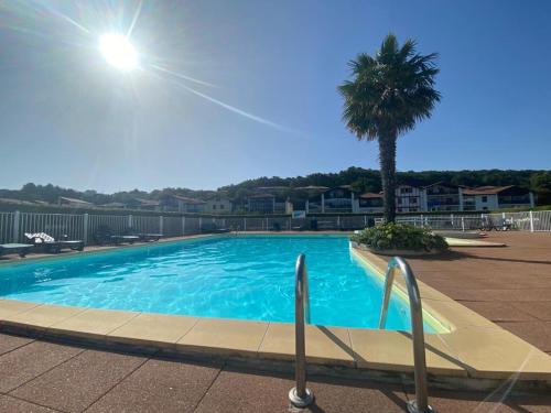 une grande piscine bleue avec un palmier dans l'établissement Appartement Résidence Fort Socoa, à Urrugne