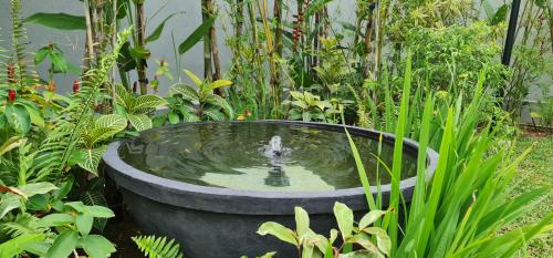 a bird bath in the middle of a garden at LAKE VILLA by CARLSEN in Moratuwa