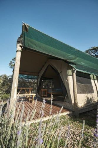 Gallery image of Trees&Seas - Getaway Glamping in Wilderness