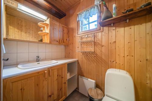 a bathroom with wooden walls and a sink and a toilet at Immelkolo in Levi