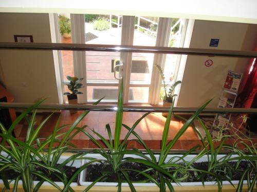 a room with a window with plants in it at 12 Months Mini Hotel in Odesa