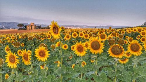 Podere Argena – Photos 3
