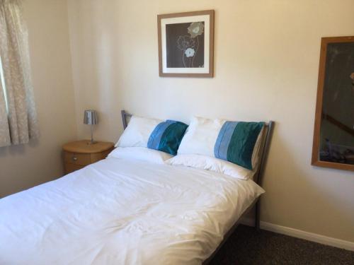 布蘭登的住宿－Cool and cosy，一间卧室配有带白色床单和蓝色枕头的床。