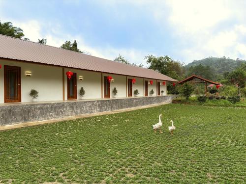 two birds standing in the grass in front of a building at Baan Daeng Resort บ้านรักไทย in Ban Rak Thai