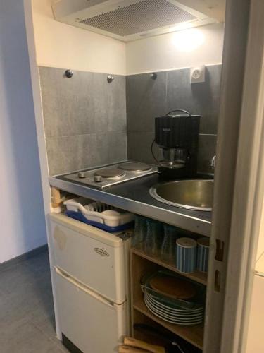 une petite cuisine avec un évier et un comptoir dans l'établissement Le studio des Myrtes, à Nîmes