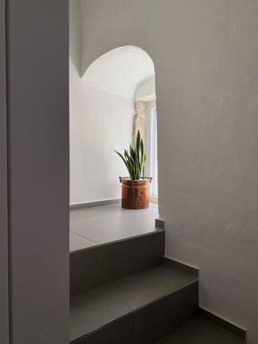 a stairway with a potted plant in a room at Al Duomo Rooms in Corato