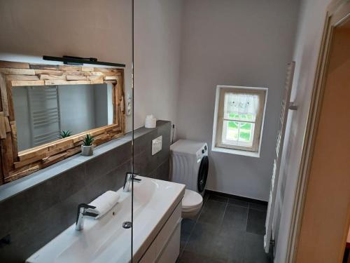 uma casa de banho com um lavatório, um WC e um espelho. em Ferienwohnung 'Bergidylle' - Zu Fuß auf die Loipe und den Berg, nur wenige Minuten ins Skigebiet em Bayrischzell