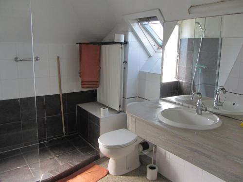 łazienka z toaletą i umywalką w obiekcie de Flesch w mieście Dodewaard
