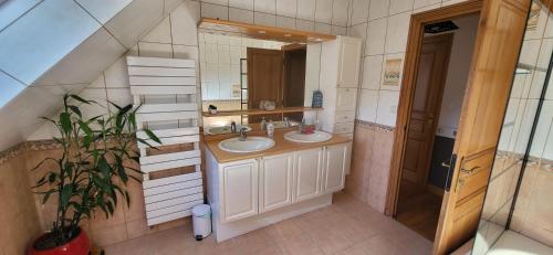 łazienka z 2 umywalkami i lustrem w obiekcie 2 Belles chambres avec balcon sdb et WC privatifs w mieście Lannion