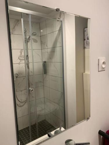 une douche dans une salle de bain avec un miroir dans l'établissement Le Terracotta : au coeur du centre historique, à Dijon