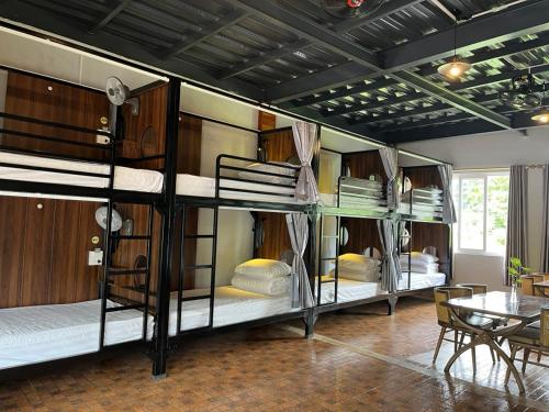 ハザンにあるRocks Ha Giang Hostel & Tourの二段ベッド3組、テーブルが備わる客室です。
