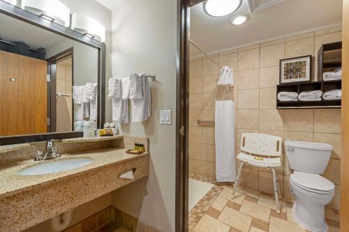 a bathroom with a toilet and a sink and a mirror at Best Western Plus Midwest Inn in Omaha