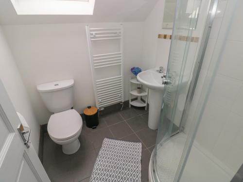 ein Badezimmer mit Toilette, Waschbecken und Dusche in der Unterkunft The Loft Wisteria Cottage in Saundersfoot