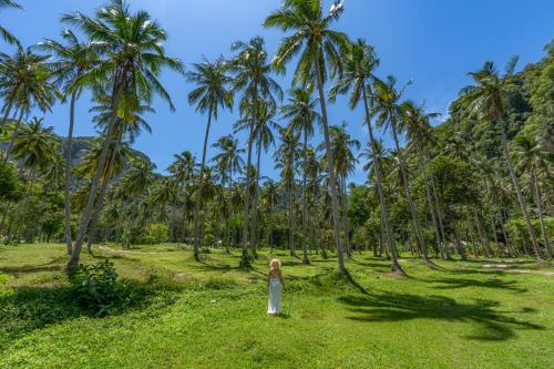 a woman standing in a field of palm trees at Tinidee Hideaway Tonsai Beach Krabi - SHA Extra Plus in Tonsai Beach
