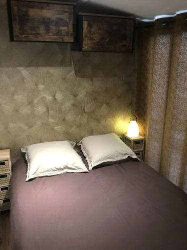 een slaapkamer met een groot bed met 2 kussens bij Chalet cosy atypique in Vichy