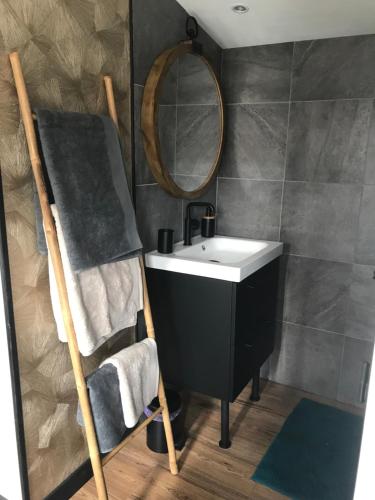 een badkamer met een wastafel en een spiegel bij Chalet cosy atypique in Vichy