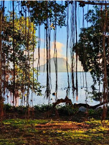 Un paisaje natural cerca del departamento