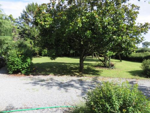 un arbre au milieu d'une prairie dans l'établissement le jardin de lumiere, à Pontchâteau