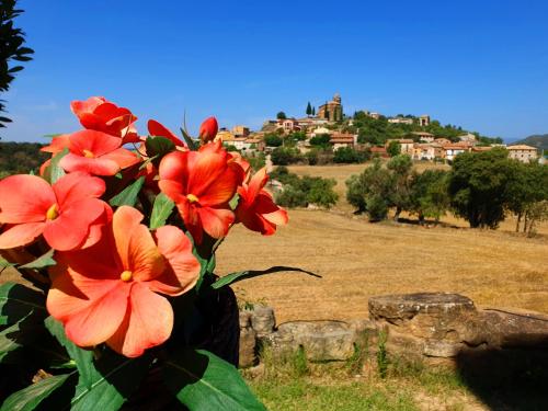 a plant with red flowers in a field at Hotel Era Conte in Bierge