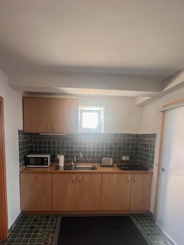 une petite cuisine avec un évier et un micro-ondes dans l'établissement Lovely basement rental, à Bled