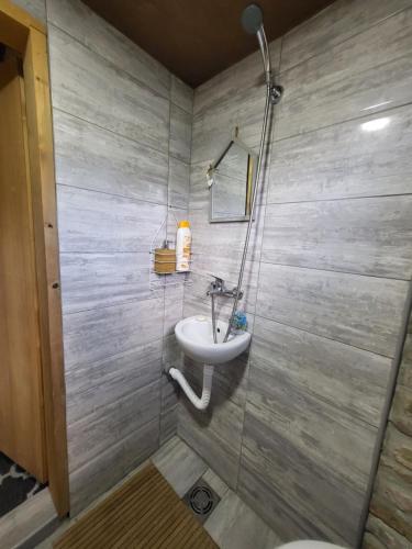 ein Bad mit einem Waschbecken und einer Dusche in der Unterkunft Cottage in Apatin