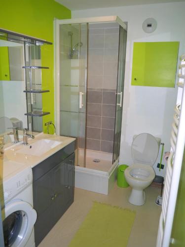 une salle de bain avec une douche, des toilettes et un lavabo dans l'établissement Studio cabine vue mer latérale, à Sainte-Cécile-Plage