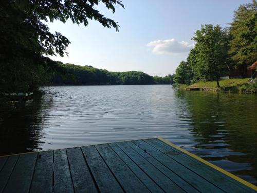 a dock on a lake with trees on the shore at Magaze de Luxe in Gradačac
