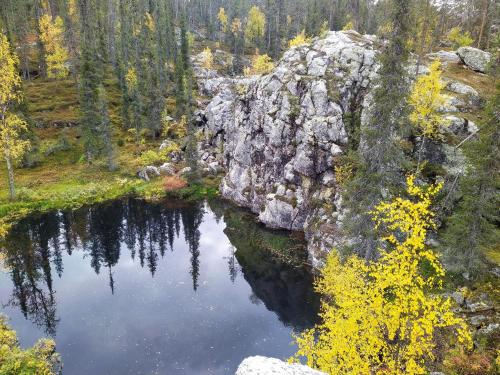 an aerial view of a lake in a forest at Isokelo Log Apartments in Salla