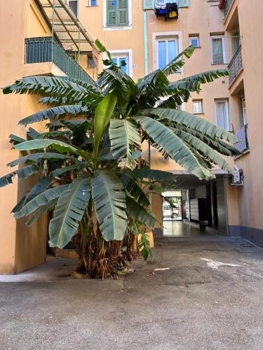 Studio mezzanine sur le port