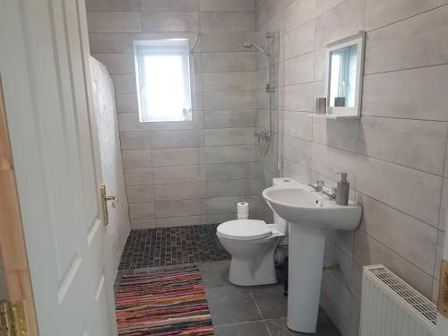 a bathroom with a toilet and a sink at Lavender lane cottage in Tralee