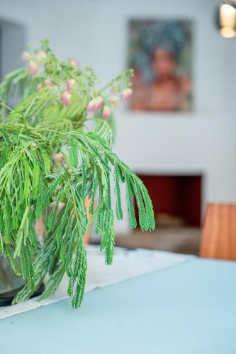 OTIUM living