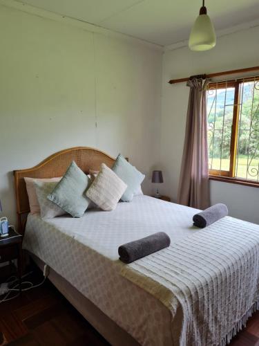 a bedroom with a bed with two pillows on it at Swallowfield Cottage in Champagne Valley