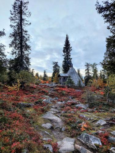 a house in the middle of a field with trees at Isokelo Log Apartments in Salla