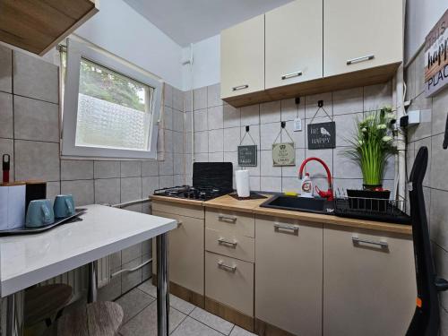 a small kitchen with a sink and a counter at Cluj Zorilor Residence in Cluj-Napoca