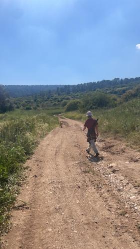 Ilaniyyaにあるעל ראש הגבעה- משק 68の犬を連れて未舗装の道を歩く者