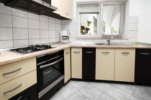 Apartment Lidijaにあるキッチンまたは簡易キッチン