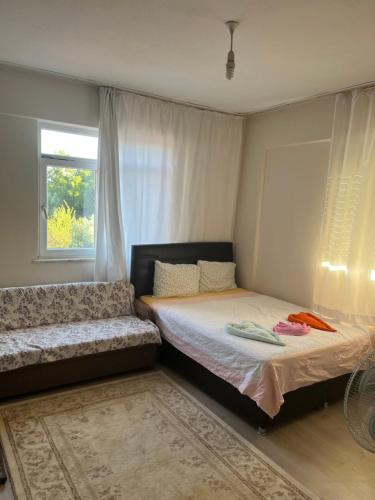 Inside olive trees, 7 min to sea