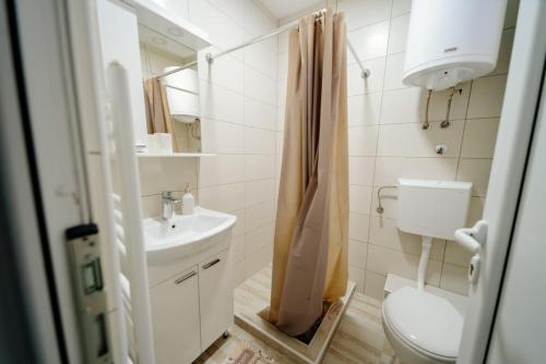een badkamer met toilet en wastafel bij Apartmani Šarović Tara 2 in Rača