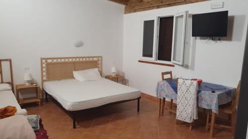 蘭佩杜薩的住宿－Residence Villa delle Rose，一间卧室配有一张床和一台电视。