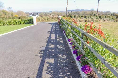 a long path with flowers and a shadow at An Teachain in Ballynabola