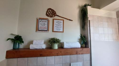 a counter with towels and plants on a wall at Casa di LU in Matera