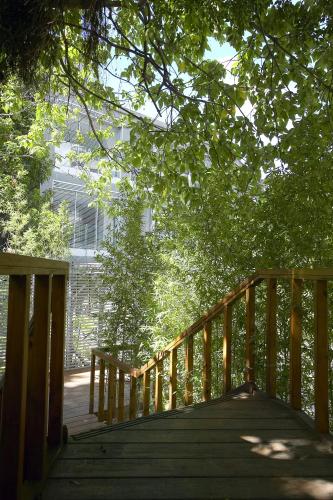 a wooden bridge with trees and a building in the background at Hotel Double One in Taipei