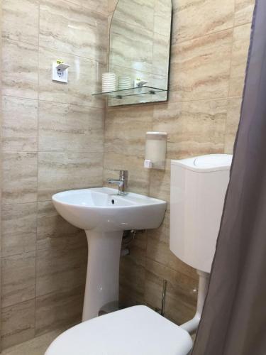 a bathroom with a sink and a toilet and a mirror at Casa Adina David in 2 Mai