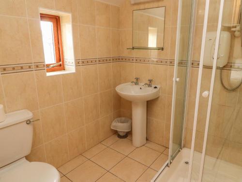 a bathroom with a toilet and a sink and a shower at 13 Sneem Leisure Village in Sneem