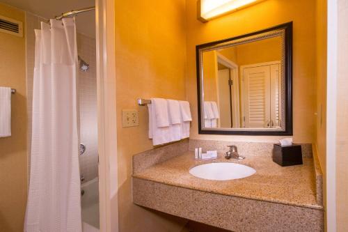 a bathroom with a sink and a mirror and a shower at Courtyard Manassas Battlefield Park in Manassas